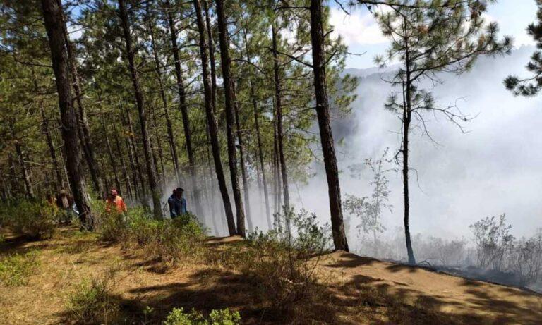 Imagen: Recrimina edil de Acaxochitlán agresiones contra combatientes de incendios