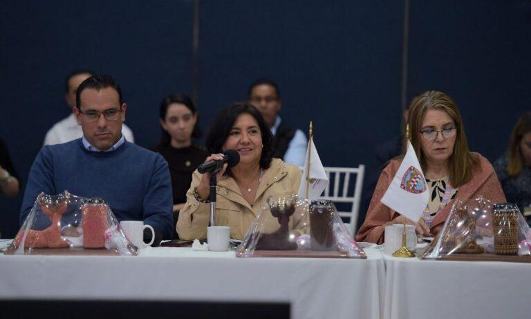 Imagen: Presenta DIF Hidalgo avances y resultados en reunión de sistemas estatales