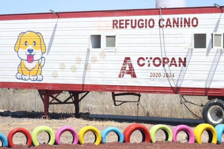 Imagen: Desmantelan refugio canino y felino que operaba la alcaldía de Actopan