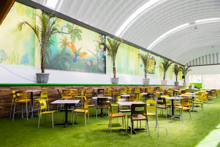 Imagen: Parque inflable en Mineral de la Reforma: ¡Jungle Park abrirá sus puertas!