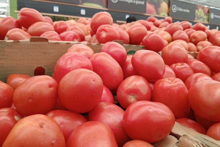 Imagen: Baja el jitomate en México: Así queda el precio tras acuerdo de Claudia Sheinbaum