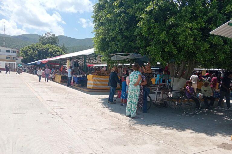 Imagen: Mercado de Metztitlán se instaló con normalidad, pese a la feria patronal