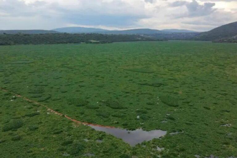 Imagen: Estrategias en la presa Endhó no son efectivas, reclaman autoridades comunales de Tula
