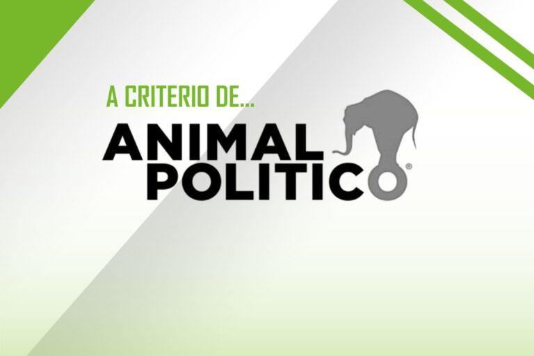 Imagen: El asesinato de Carlos Manzo