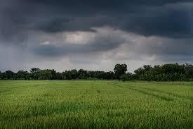 Imagen: Lluvias en Hidalgo: lo que puedes esperar este 6 de septiembre