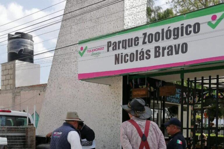 Imagen: Esto dijo la directora del zoológico de Tulancingo sobre la advertencia de Profepa