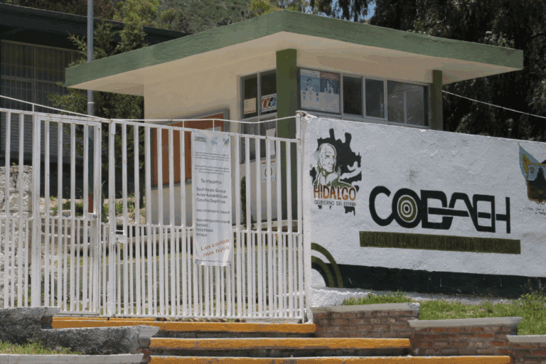 Imagen: Extrabajadora acusa hostigamiento laboral por parte de dos directivos del Cobaeh