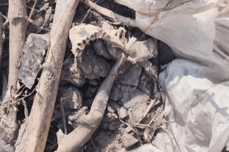 Imagen: Descubren restos óseos en cerro de El Arenal, Hidalgo