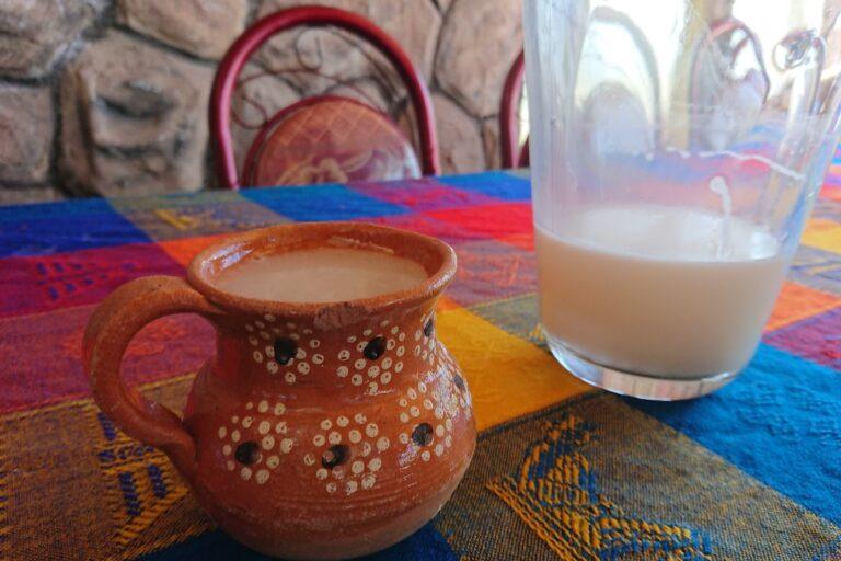 Imagen: Festival del Pulque en Tlaxiaca: música, sabor y tradición este domingo