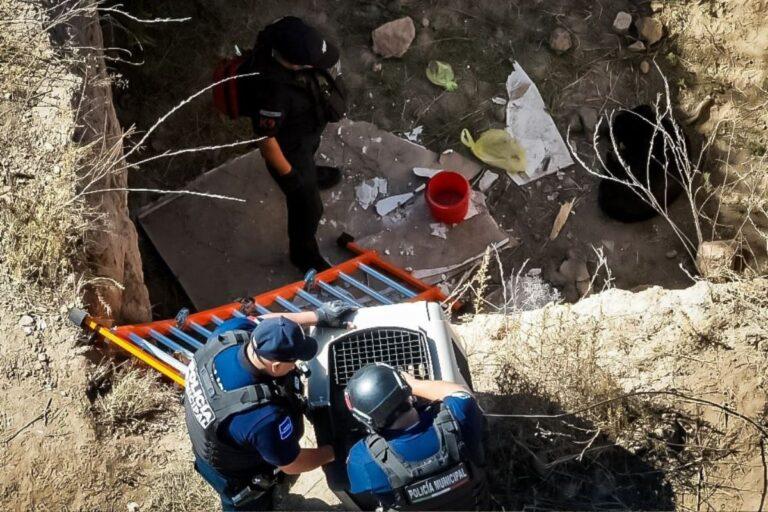Imagen: Así salvaron a un perrito en Pachuca: usaron drones y equipo K9