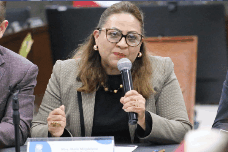 Imagen: Esto dijo la consejera presidenta del IEEH sobre la falta de pago a representantes partidistas