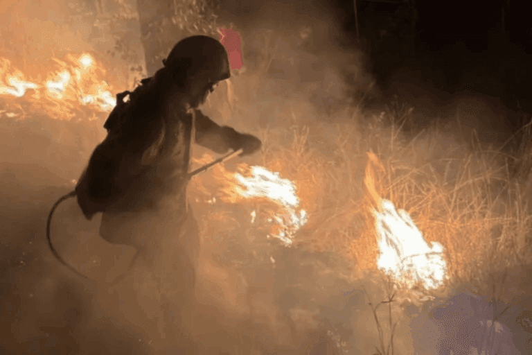 Imagen: ¿Cuántos incendios forestales se han registrado en Hidalgo en lo que va de 2026?