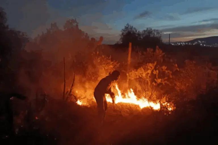 Imagen: Fuego en San Agustín Tlaxiaca mantiene movilización; así avanza el incendio forestal