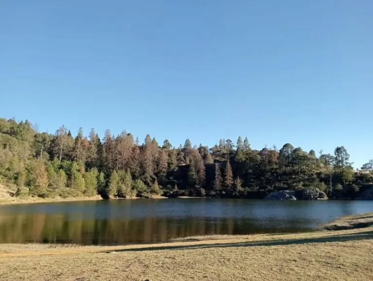 Imagen: ¿De vacaciones en ríos, presas o cuerpos de agua? Esta advertencia de Protección Civil es para ti: