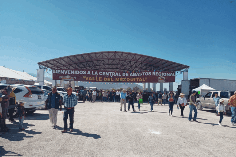 Imagen: Central de abasto de La Estancia, Chilcuautla, permanece sin operar