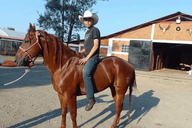 Imagen: Javier, herrero con 17 años de experiencia en Atotonilco el Grande