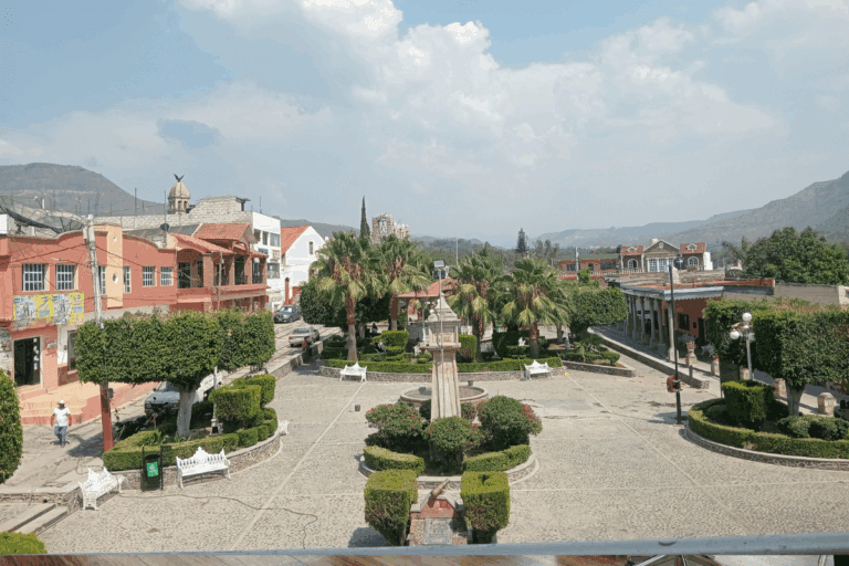 Imagen: Regidora de Metzquititlán propone dar apoyo económico a delegados municipales