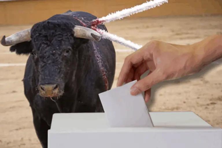 Imagen: Quieren bloquear la consulta de toros en Hidalgo: organización va al amparo tras aprobación del Congreso
