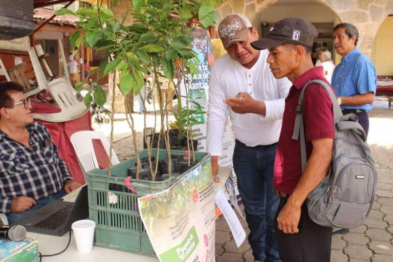 Imagen: Vivero de Huejutla produce plantas para reforestar la ciudad