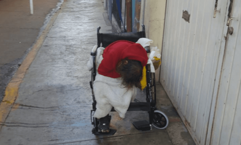 Imagen: Suman dos casos de abandono de adultos mayores en Tulancingo
