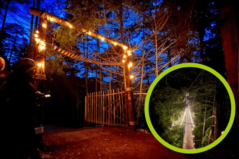 Imagen: Cómo llegar y cuánto cuesta visitar los puentes colgantes iluminados de Mineral del Chico