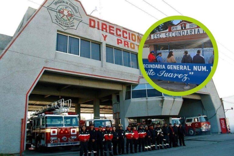 Imagen: ¡Tulancingo sufre por los insectos! PC atendió reportes de avisperos y un colmenar
