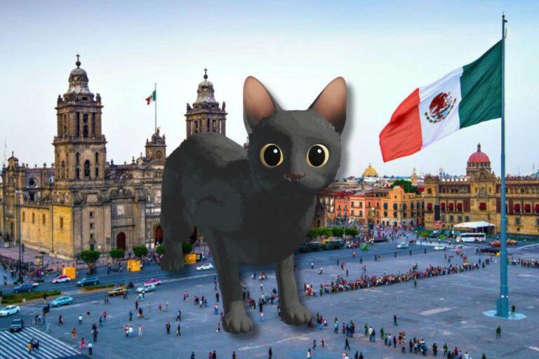 Imagen: El Zócalo de la Cdmx se convertirá en una sala de cine con la proyección de “Flow”