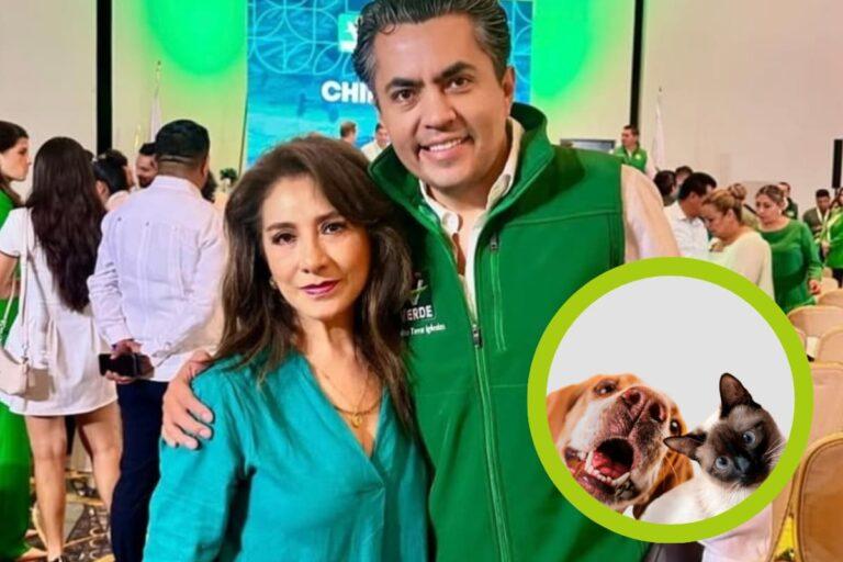 Imagen: Regidora de Apan se retracta tras polémica declaración del bienestar animal