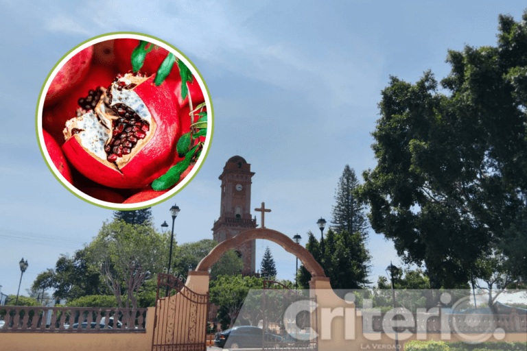 Imagen: Tecozautla celebra la Feria de la Fruta con música, deporte y tradición