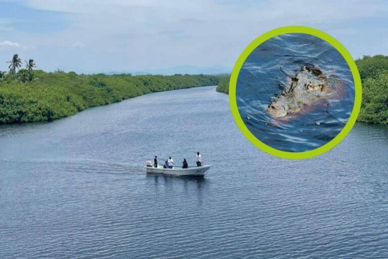 Imagen: Menor fue a Michoacán con su familia, pero cayó al agua donde había cocodrilos