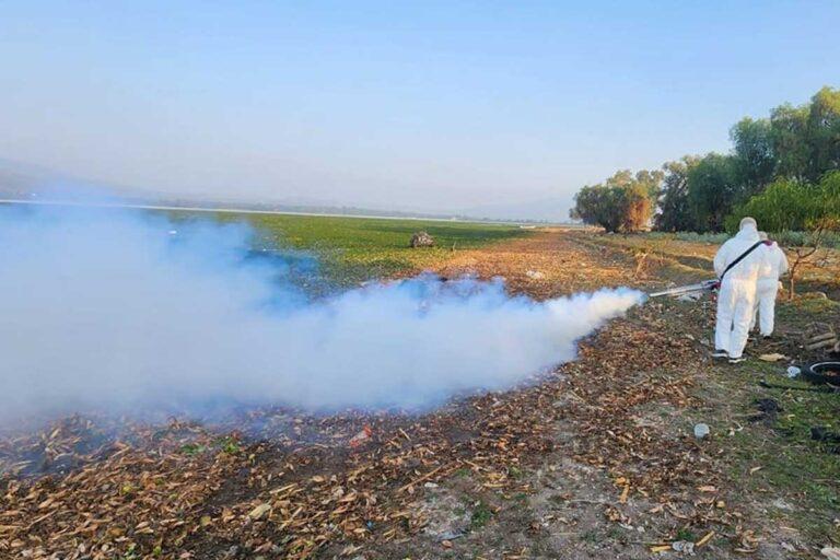 Imagen: Recubrirán con insecticida viviendas cercanas a la presa Endhó, en Tula y Tepetitlán