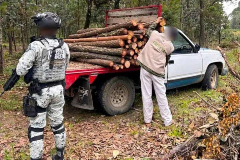 Imagen: Operativo vs tala de árboles en San Agustín Metzquititlán culmina con cuatro detenidos
