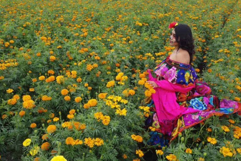 Imagen: Vive el Día de Muertos en Hidalgo: Checa la agenda de actividades para esta temporada