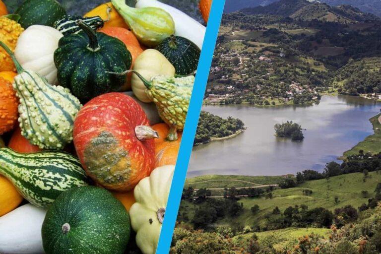 Imagen: Molango se llenará de calabazas, tradición, leyendas y sabores en esta actividad; ¡no te lo pierdas!