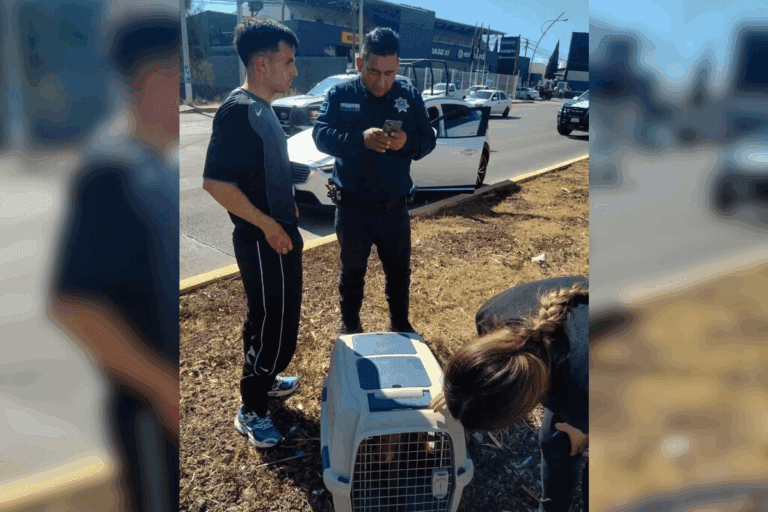Imagen: Jugador de los Tuzos salva a perrito herido en el bulevar Colosio