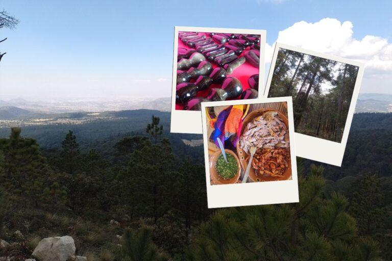 Imagen: Epazoyucan: naturaleza, senderismo y gastronomía a unos minutos de Pachuca