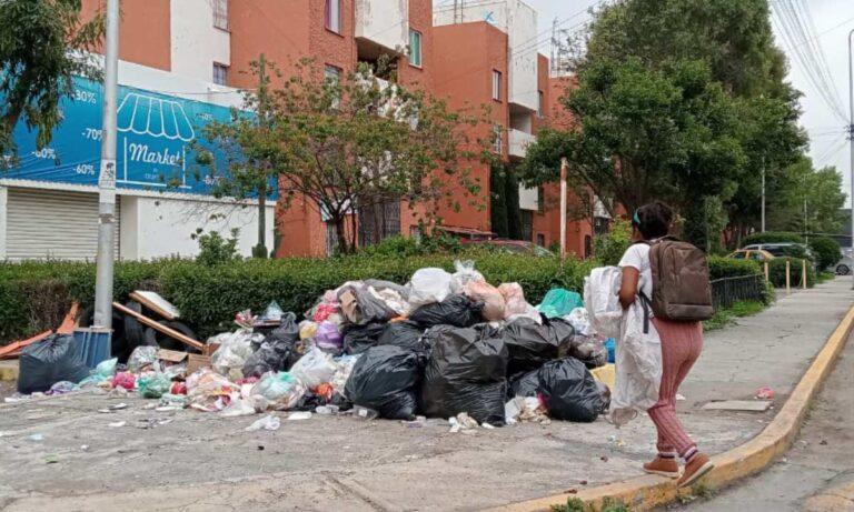 Imagen: ¿Cuántas personas han sido multadas en Pachuca por botar la basura a las calles?