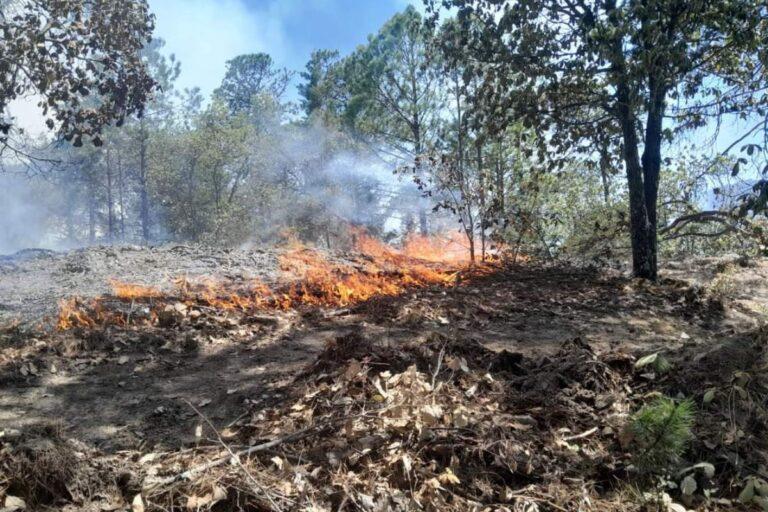 Imagen: Van 230 incendios en Mineral de la Reforma, estás son las zonas más afectadas