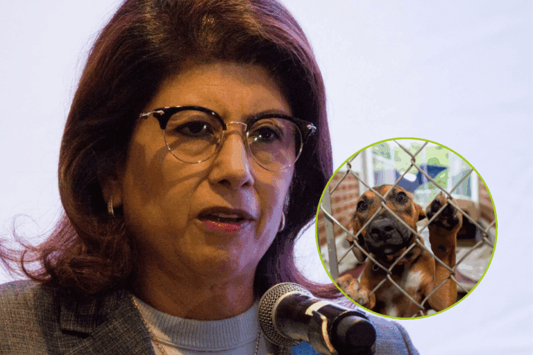 Imagen: Senadora Mariela Gutiérrez confirma sacrificio de miles de perros en Tecámac cuando fue alcaldesa