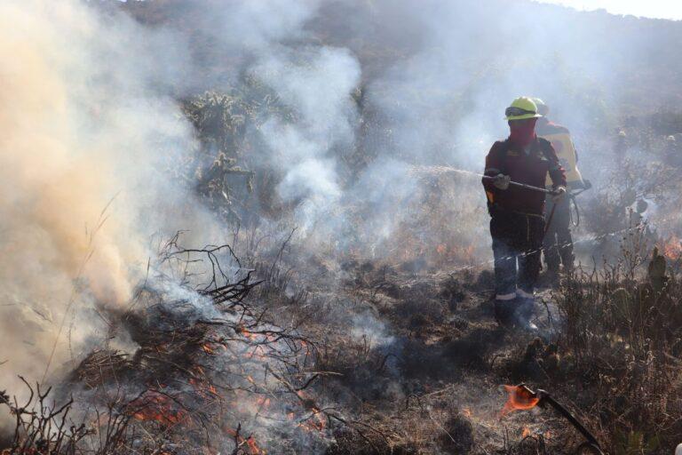 Imagen: Incendio forestal en Hidalgo obliga a desplegar brigadas en Jacala
