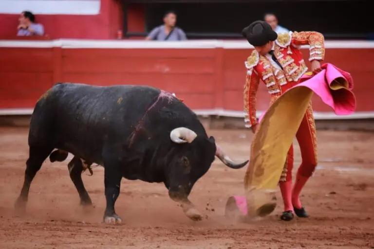 Imagen: Sin dinero extra para la consulta taurina: Hacienda de Hidalgo le dice no al IEEH