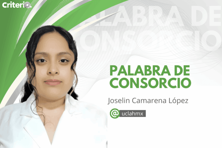 Imagen: La complejidad del trabajo docente: entre vocación, conocimiento y acción