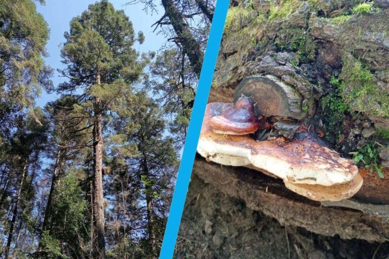 Imagen: Este rincón secreto de Mineral del Chico es el mejor lugar para hacer senderismo