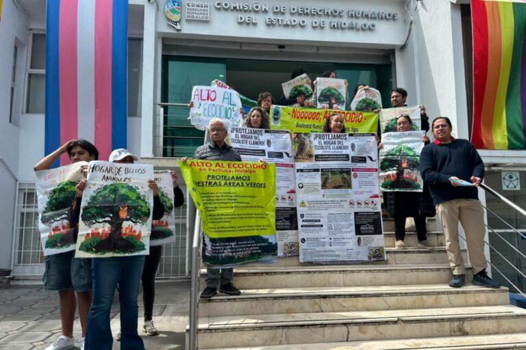 Imagen: Pachuca: Queja colectiva en CDHEH por posible tala de árboles en bulevar Fomento Minero