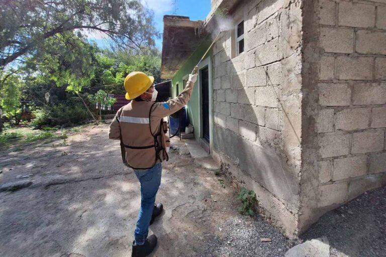 Imagen: Huejutla: Refuerzan acciones preventivas contra el dengue
