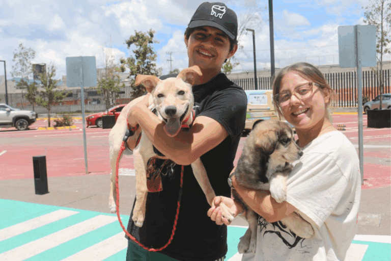 Imagen: No basta con adoptar: HopeFul vigila que perros rescatados tengan un hogar seguro